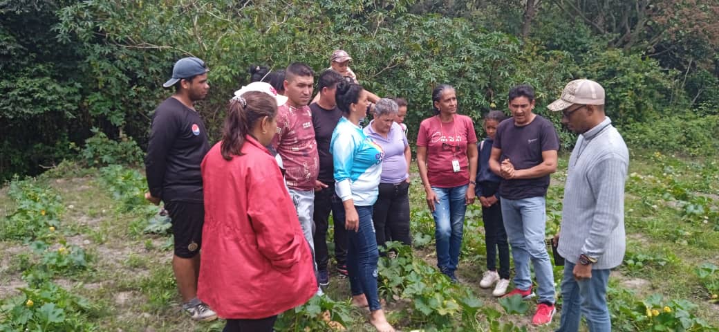 productores agrícolas