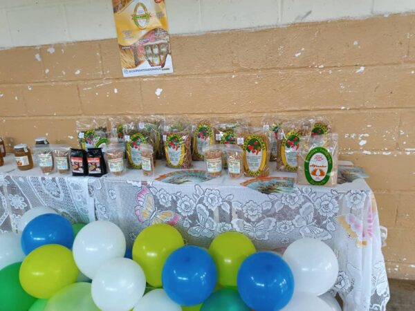 Encuentro- Experiencia- Vivencial - Cooperativa